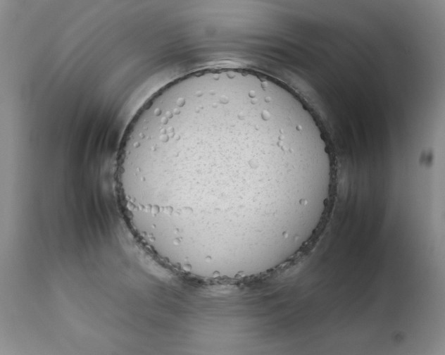 X0000112731186200909101444