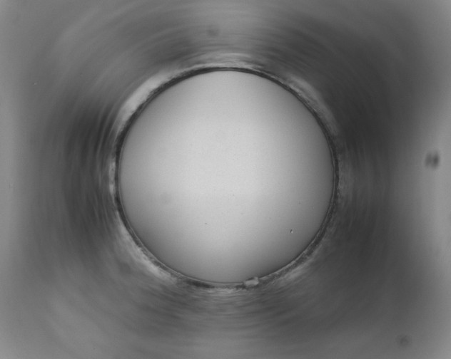 X0000112731188200909101444