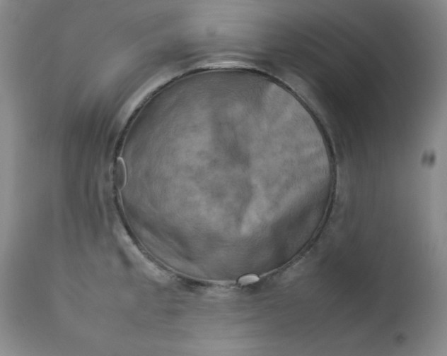 X0000112731189200909101444