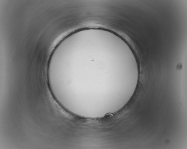 X0000112731191200909101444