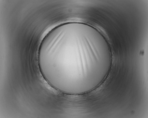 X0000112731192200909101444