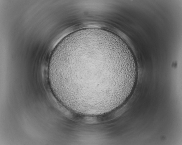 X0000112731194200909101444