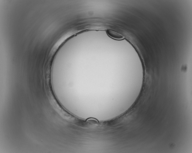 X0000112731195200909101444