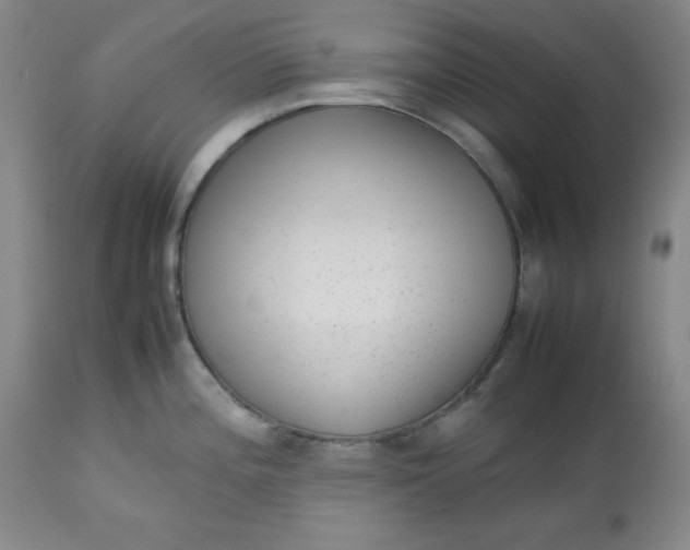 X0000112731196200909101444