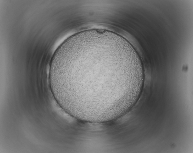 X0000112731198200909101444