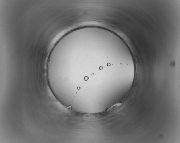 X0000112731199200909101444