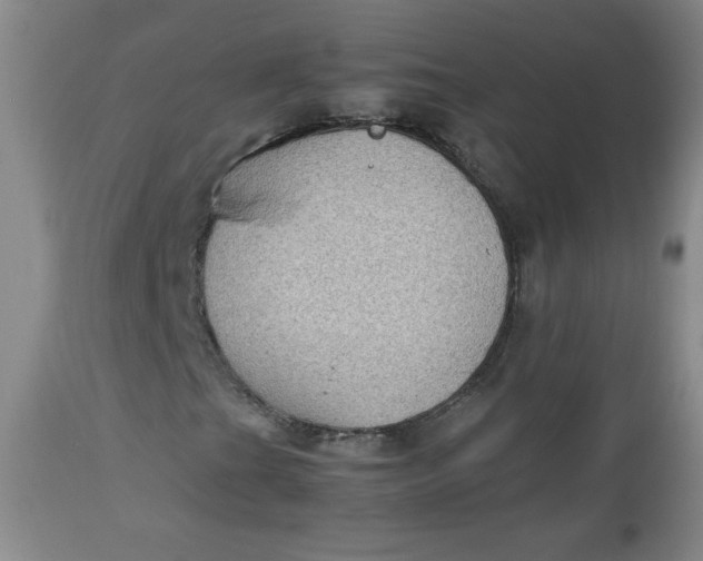 X0000112731201200909101443