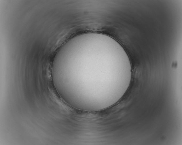 X0000112731202200909101443