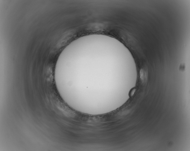 X0000112731203200909101443