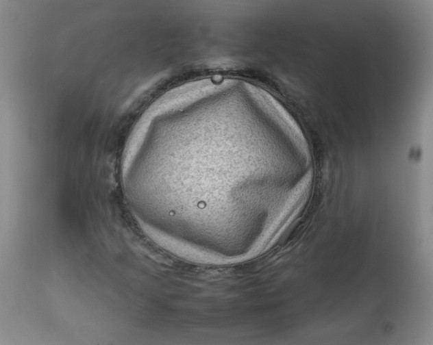 X0000112731205200909101443