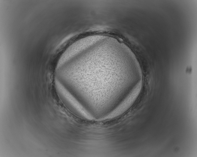 X0000112731206200909101443