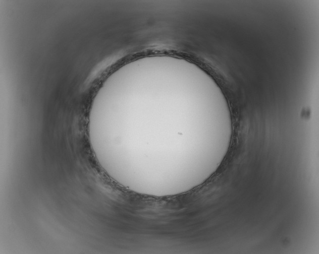 X0000112731207200909101443