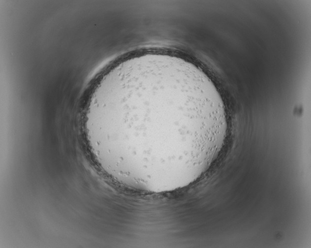 X0000112731208200909101443