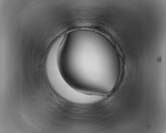 X0000112731209200909101443