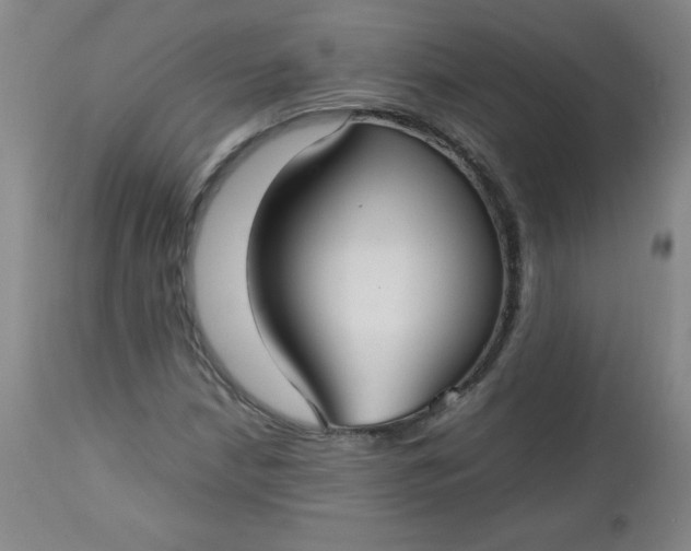 X0000112731210200909101443