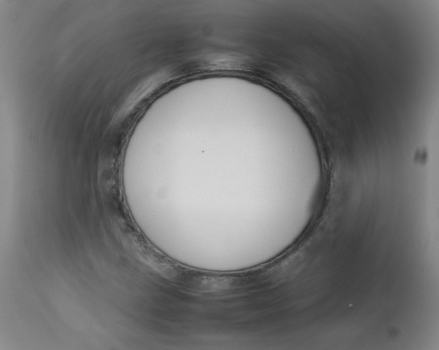 X0000112731211200909101443