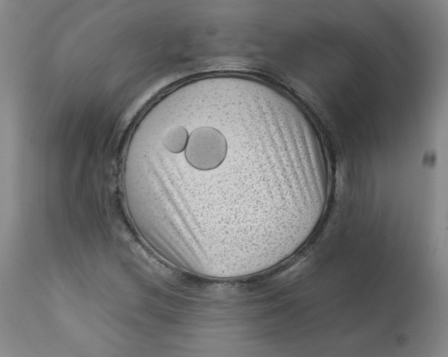 X0000112731212200909101443