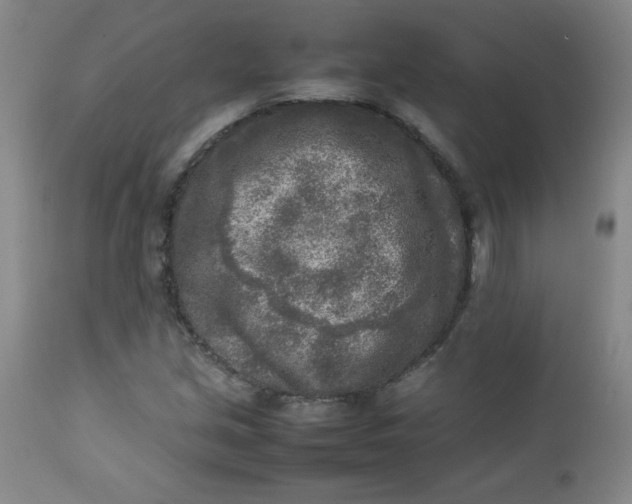 X0000112731213200909101443