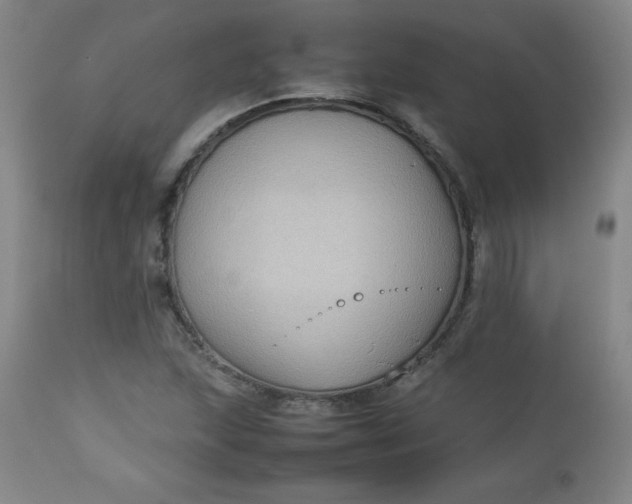 X0000112731215200909101443