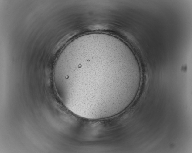 X0000112731217200909101443