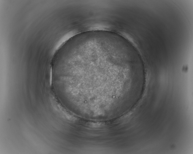 X0000112731219200909101443