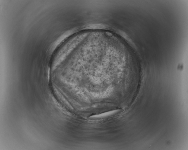 X0000112731221200909101443