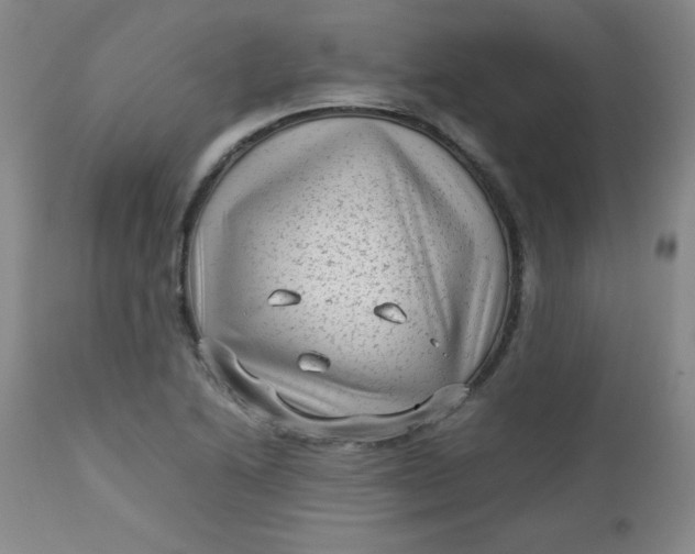 X0000112731222200909101443