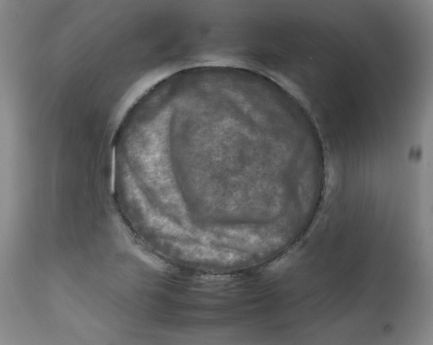 X0000112731223200909101443