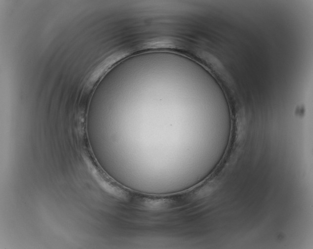 X0000112731225200909101443