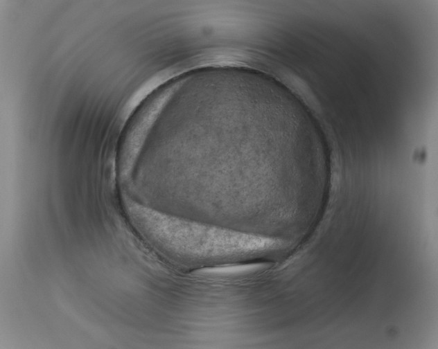 X0000112731226200909101443