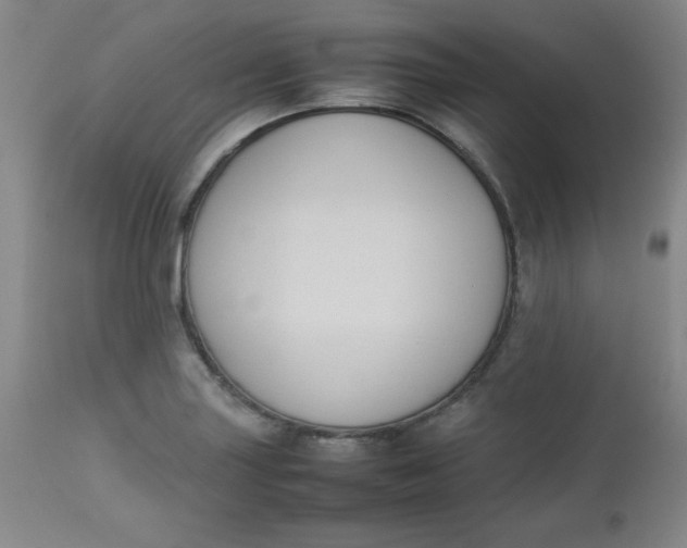 X0000112731227200909101443