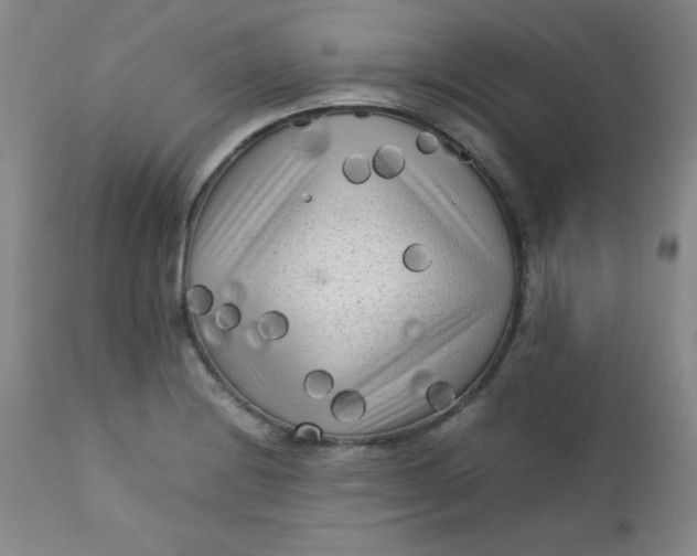 X0000112731228200909101443