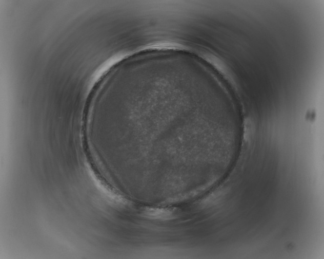 X0000112731229200909101443