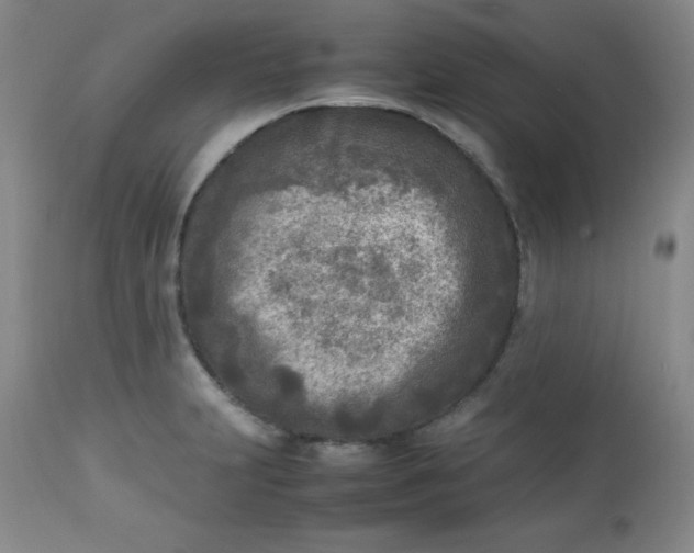 X0000112731231200909101443