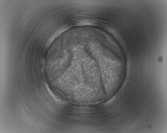 X0000112731233200909101443