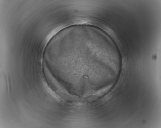 X0000112731234200909101443