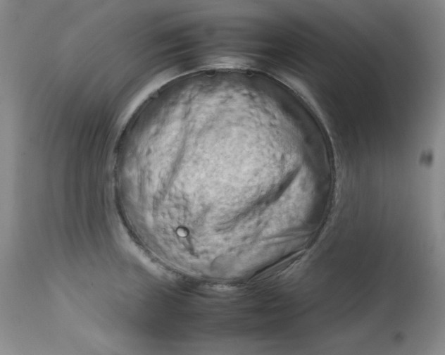 X0000112731235200909101443