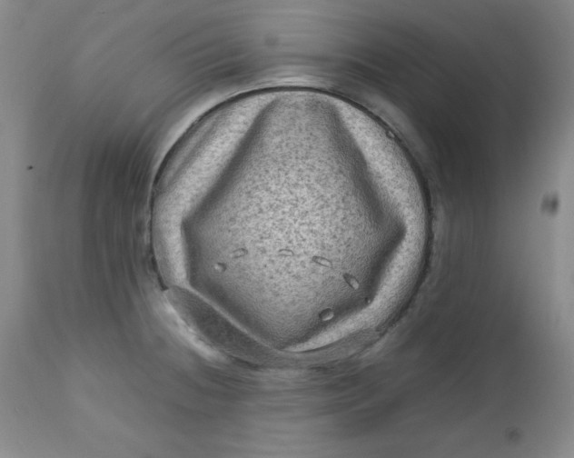 X0000112731236200909101443