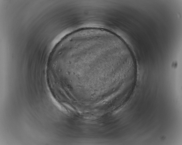 X0000112731237200909101443