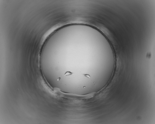 X0000112731238200909101443