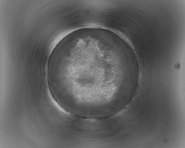 X0000112731239200909101443