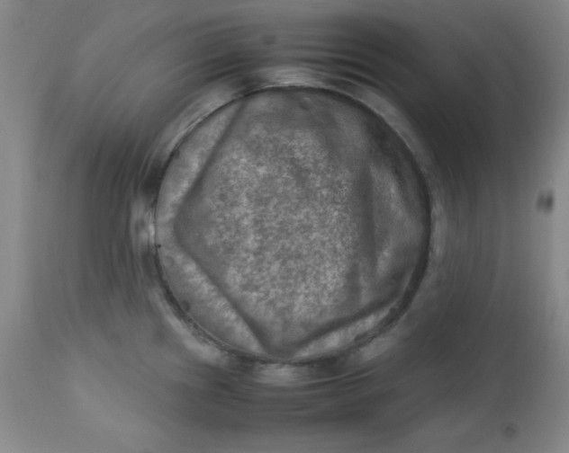 X0000112731241200909101444