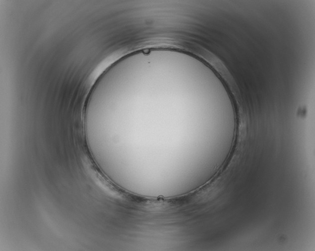 X0000112731242200909101444