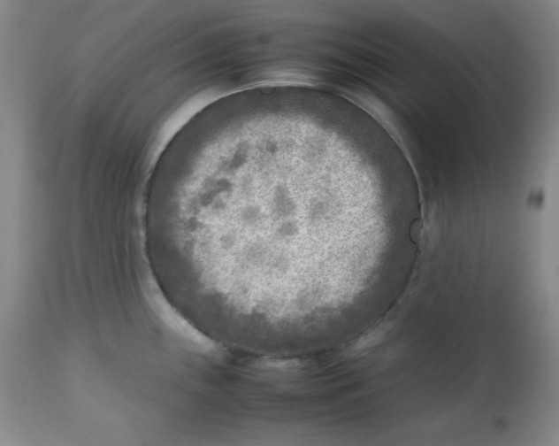 X0000112731243200909101444