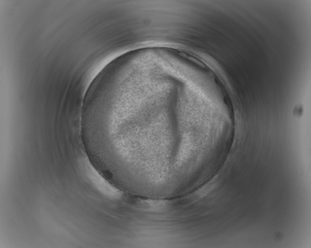 X0000112731244200909101444