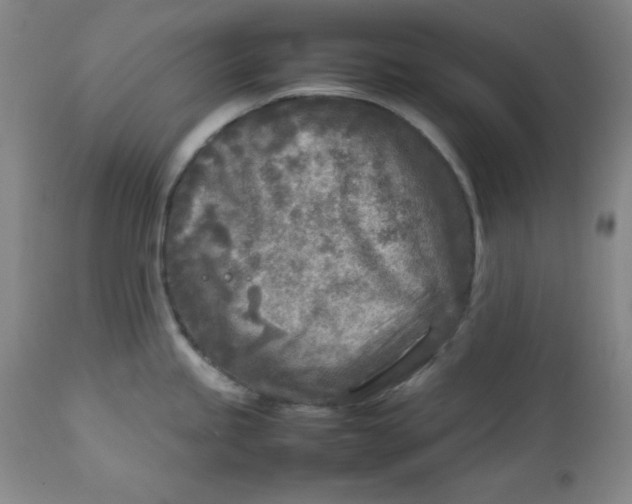 X0000112731245200909101444