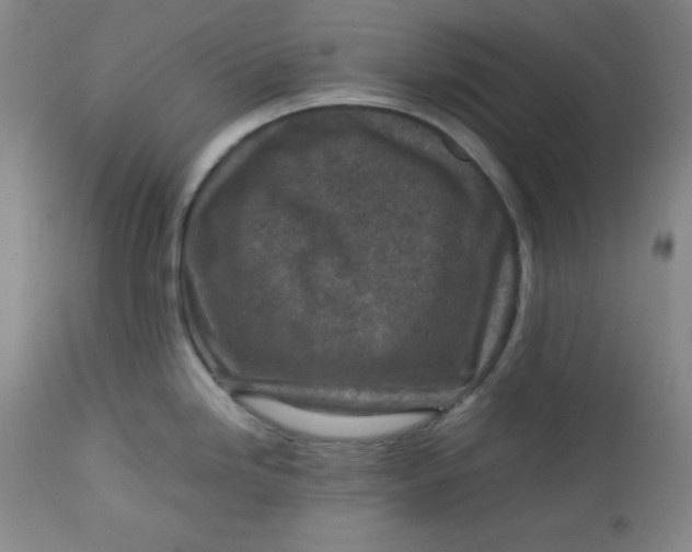 X0000112731246200909101444