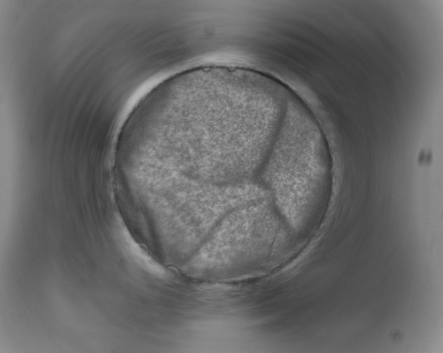 X0000112731248200909101444