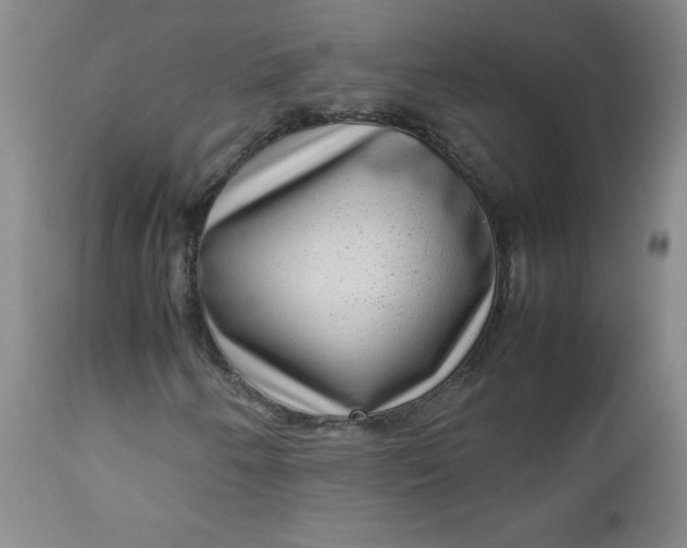 X0000112731250200909101443