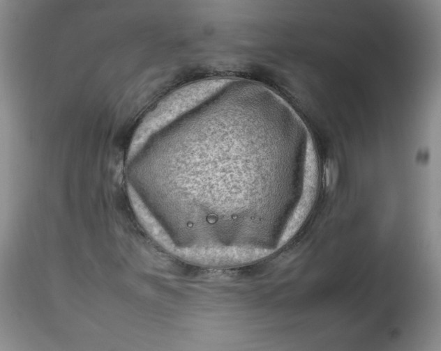 X0000112731251200909101443